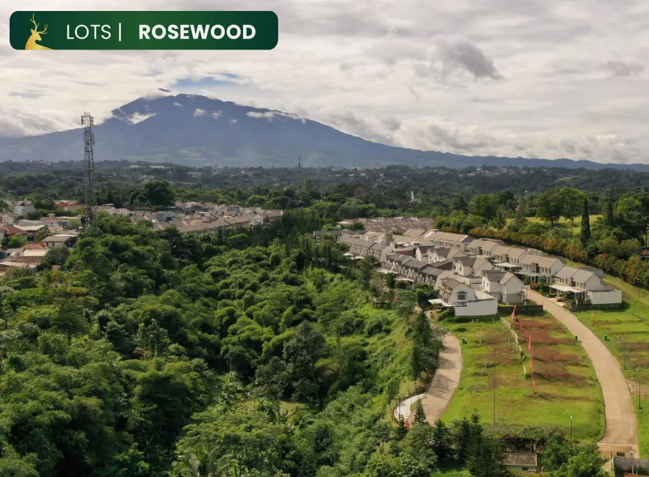ROSEWOOD